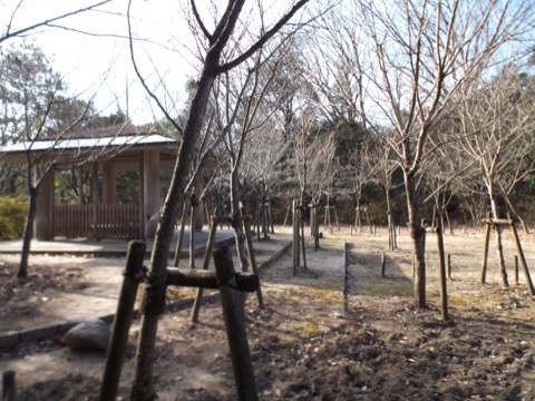 d0115985_22411504.jpeg