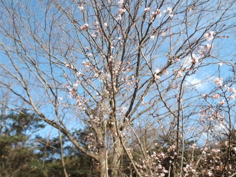 d0115985_22413800.jpeg