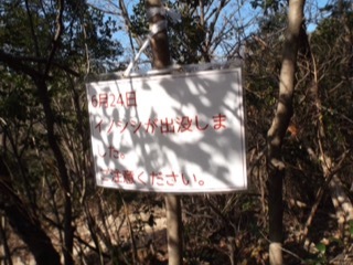 d0115985_22420160.jpeg