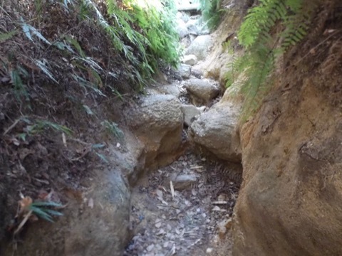d0115985_22422635.jpeg
