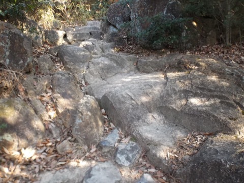 d0115985_22425899.jpeg