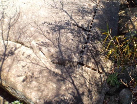 d0115985_22432082.jpeg