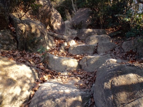 d0115985_22434580.jpeg