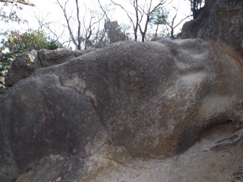 d0115985_22450208.jpeg