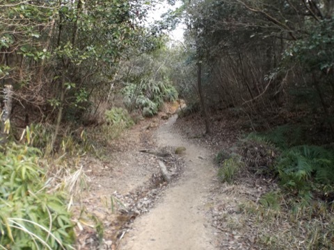 d0115985_22461444.jpeg