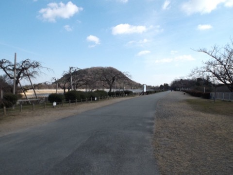 d0115985_22503460.jpeg
