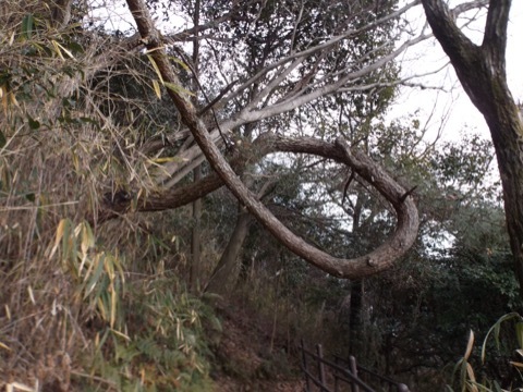 d0115985_22520842.jpeg