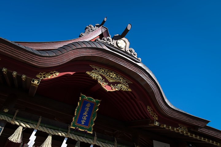 梅の咲き始めた天神さま_d0353489_2203364.jpg