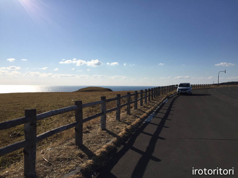 釧路旅日記　その4　（オオワシ・ハクチョウ・シノリガモ他）　　2016/01/08_d0146592_22392155.jpg