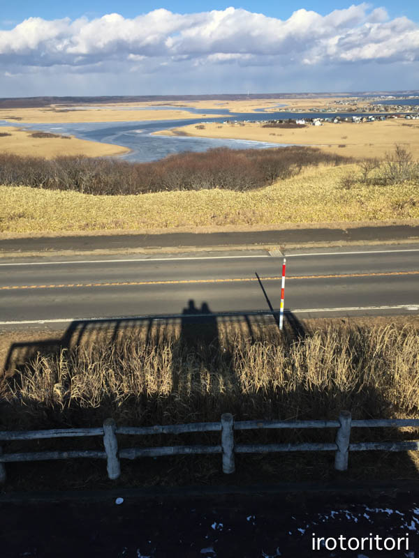 釧路旅日記　その4　（オオワシ・ハクチョウ・シノリガモ他）　　2016/01/08_d0146592_2252263.jpg