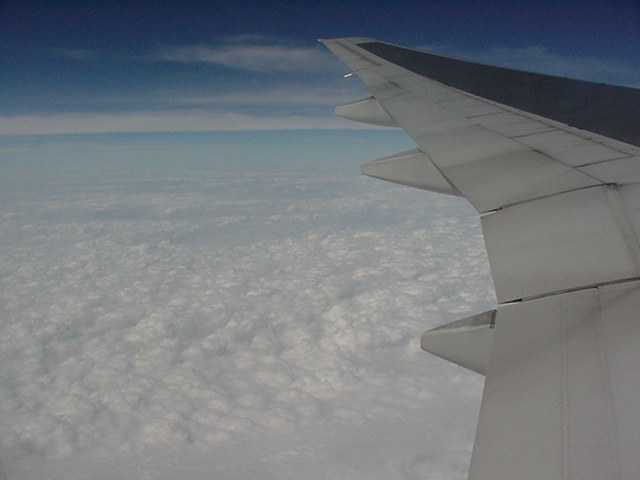 翼_a0334793_22254270.jpg