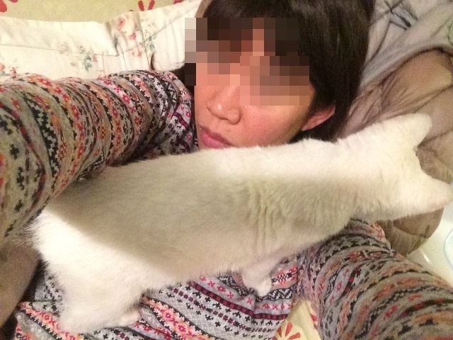 b0292900_16122939.jpeg