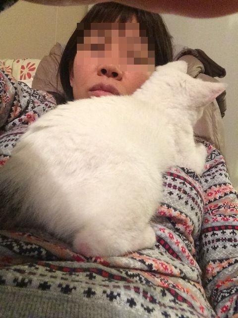 b0292900_16181828.jpeg