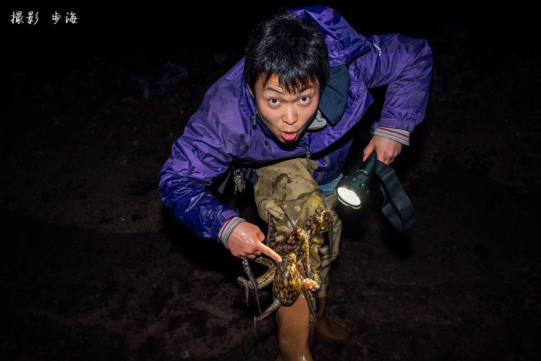 今年もダンゴウオの季節がやってきた!(2016年1月)_b0348205_23142417.jpg