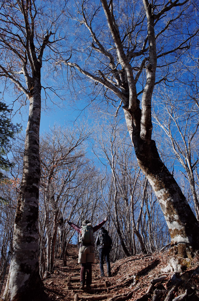 1/11 三頭山 ハチザス沢ノ頭から槇寄山は単独で歩く_d0279705_2014142.jpg