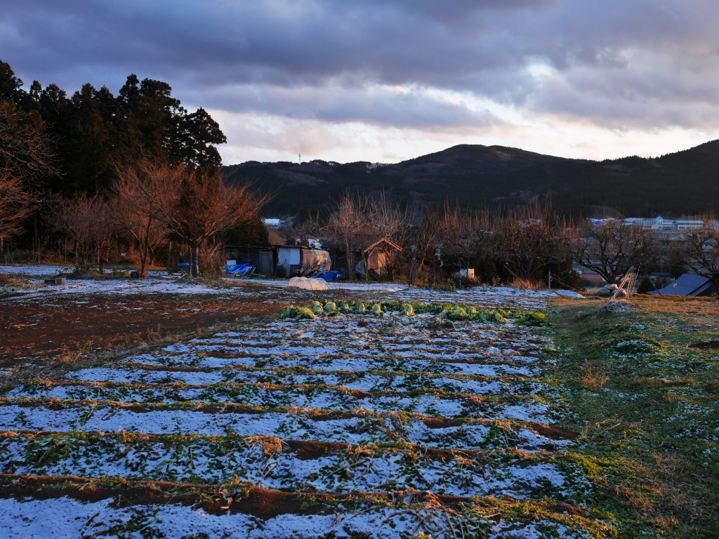 f0138305_208136.jpg