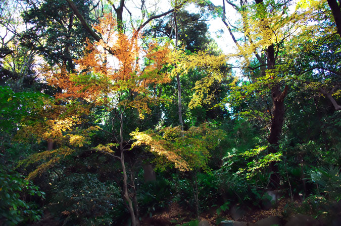 a0263109_20105072.jpg