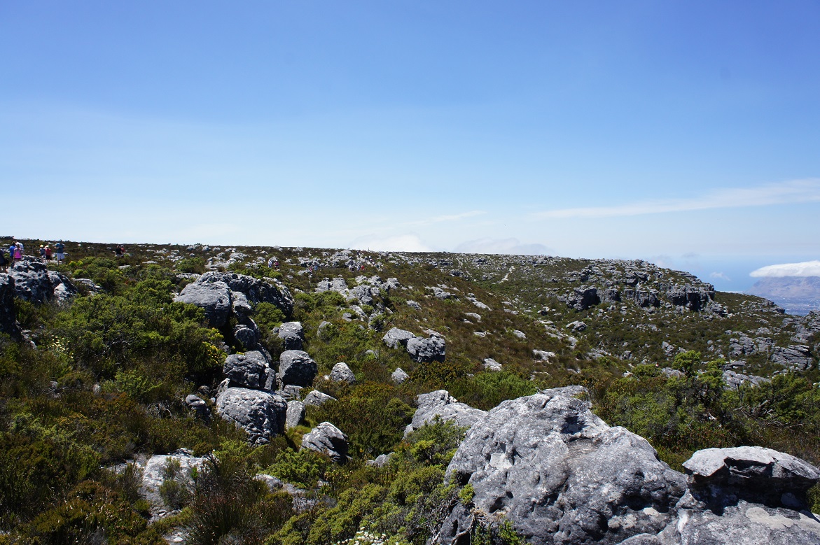 b0112909_1939625.jpg