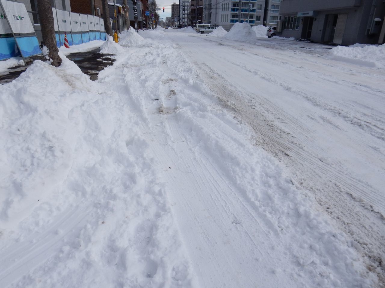 雪、降りました_c0025115_19003825.jpg