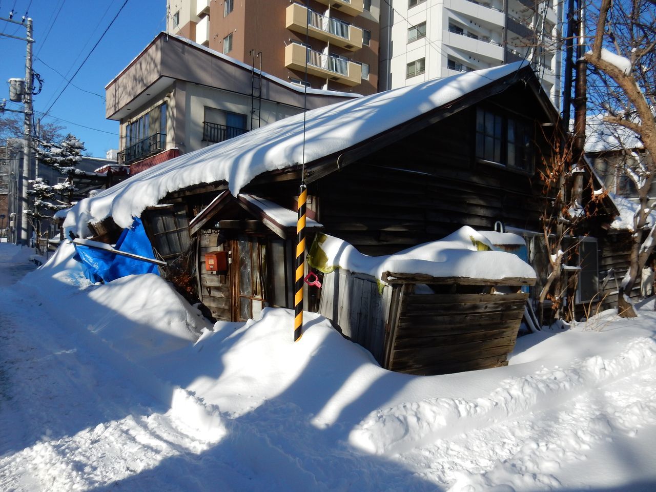 雪、降りました_c0025115_19032654.jpg