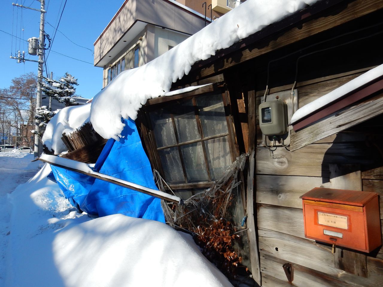 雪、降りました_c0025115_19043326.jpg