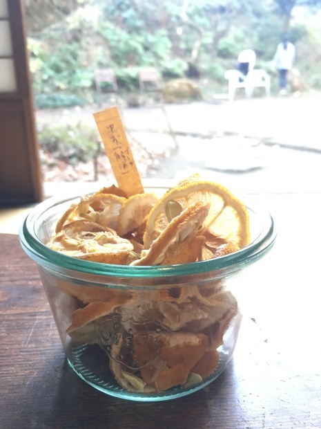 e0172219_22531145.jpeg