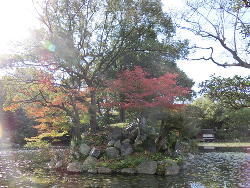 美人妻千賀子との京都旅「東本願寺別邸渉成園（枳殻邸）」へ_a0243325_2157121.jpg