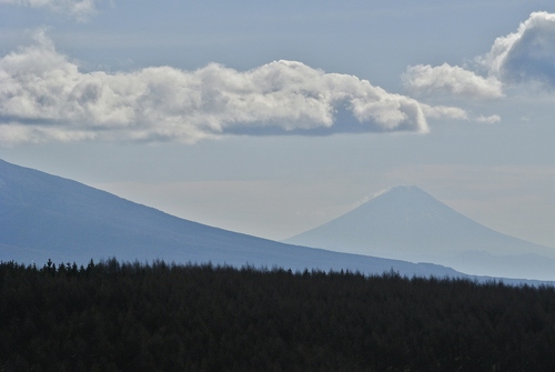 d0170835_19562151.jpg