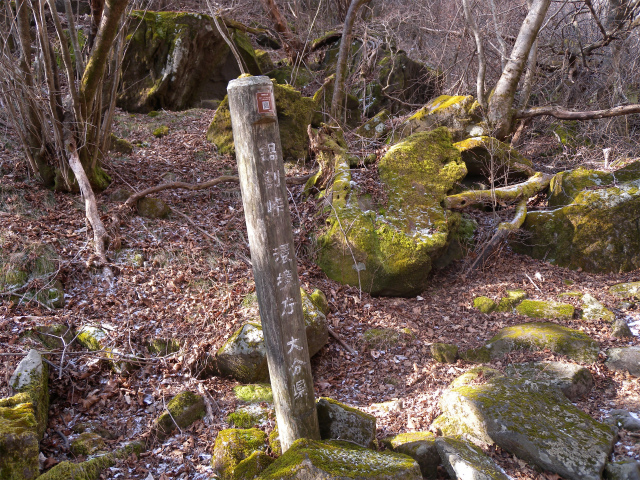 e0272335_20354619.jpg