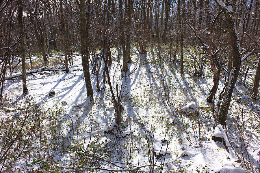 c0067040_22545991.jpg