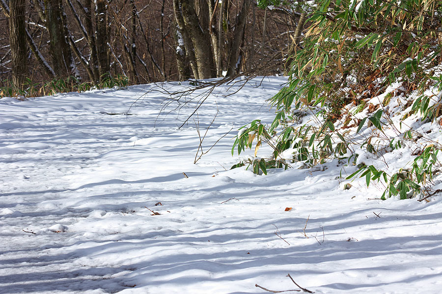 大岡山雪景色’１５　＃２_c0067040_22562740.jpg