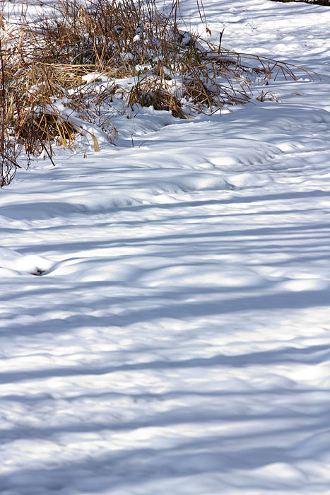 大岡山雪景色’１５　＃２_c0067040_22565037.jpg