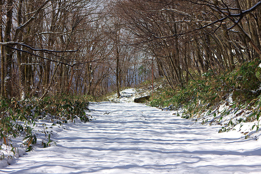 大岡山雪景色’１５　＃２_c0067040_22570625.jpg