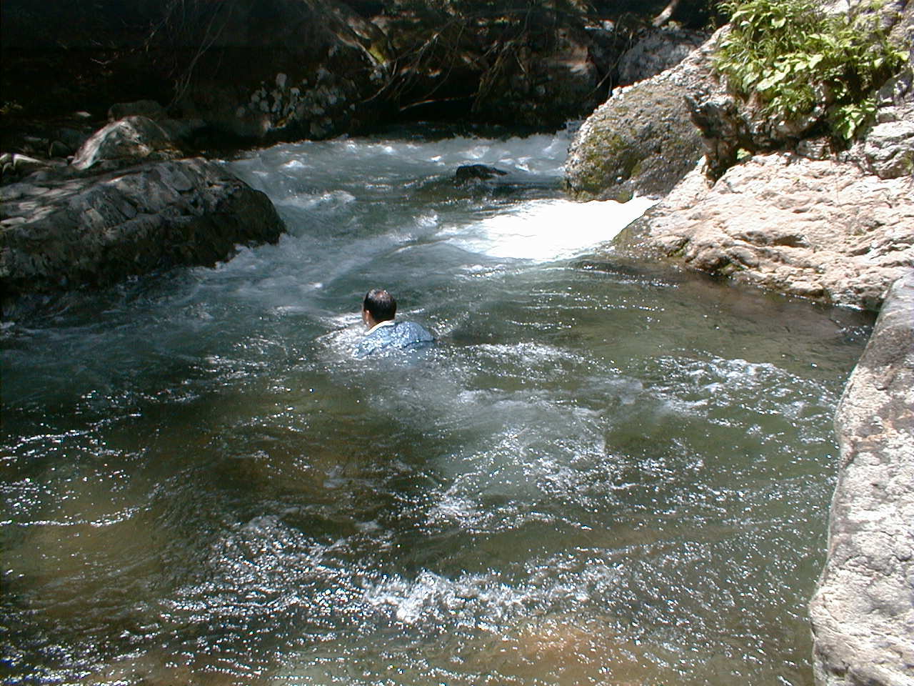 d0347140_11453885.jpg