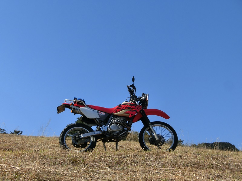 d0274344_14402.jpg