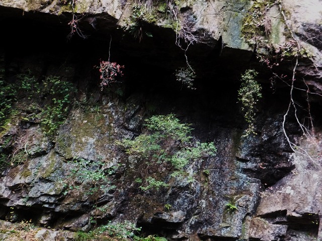 d0048350_20512579.jpg
