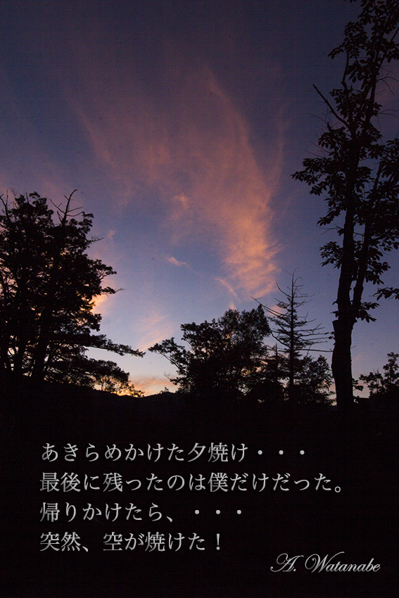 b0167256_21382997.jpg