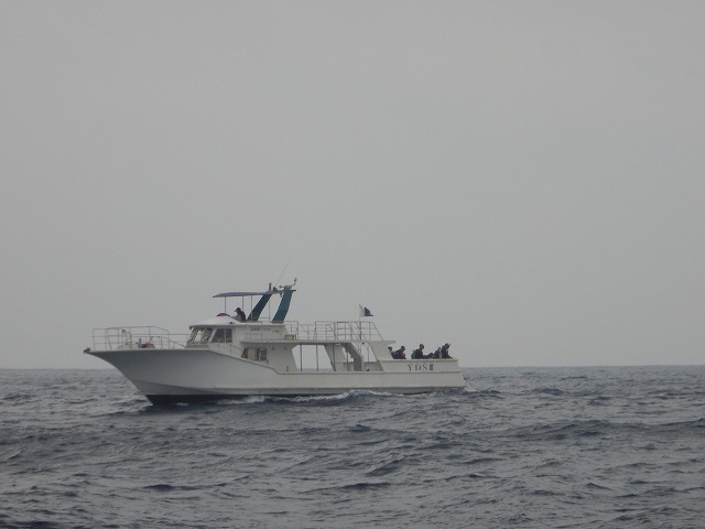 1月14日 ロペ!!_d0113459_2012293.jpg