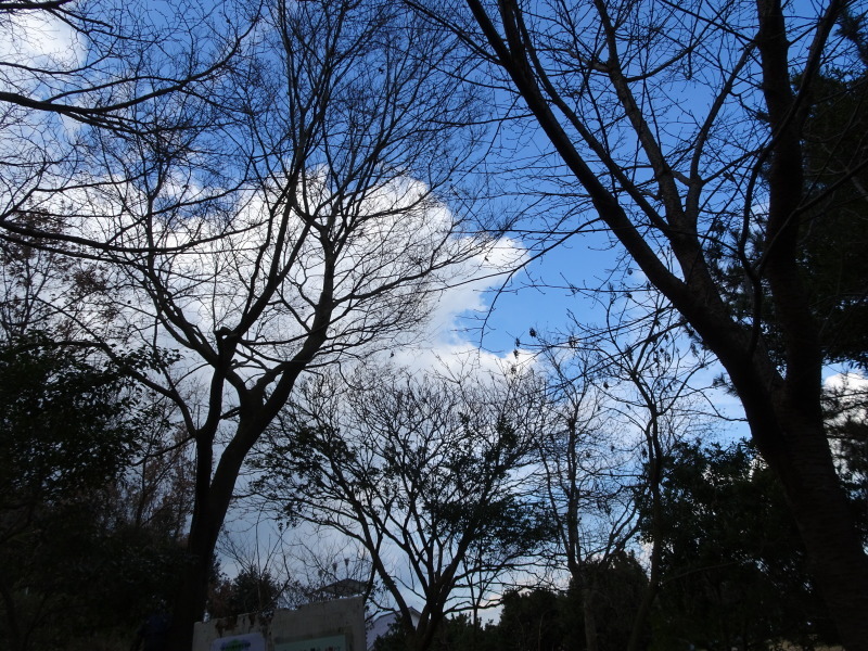 c0108460_19312049.jpg