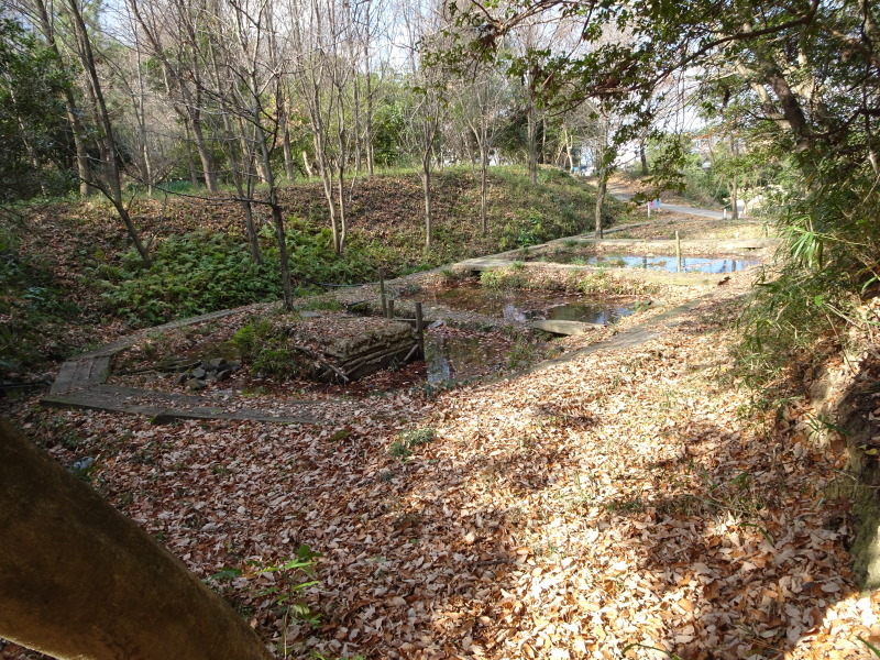 c0108460_19364622.jpg