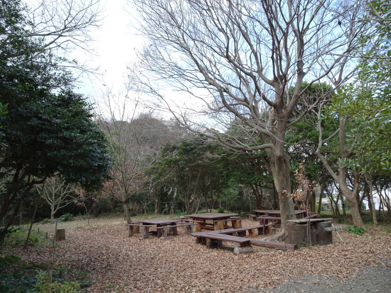 c0108460_19364946.jpg