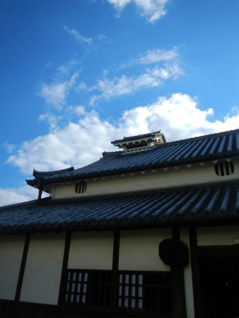 b0056570_20561621.jpg