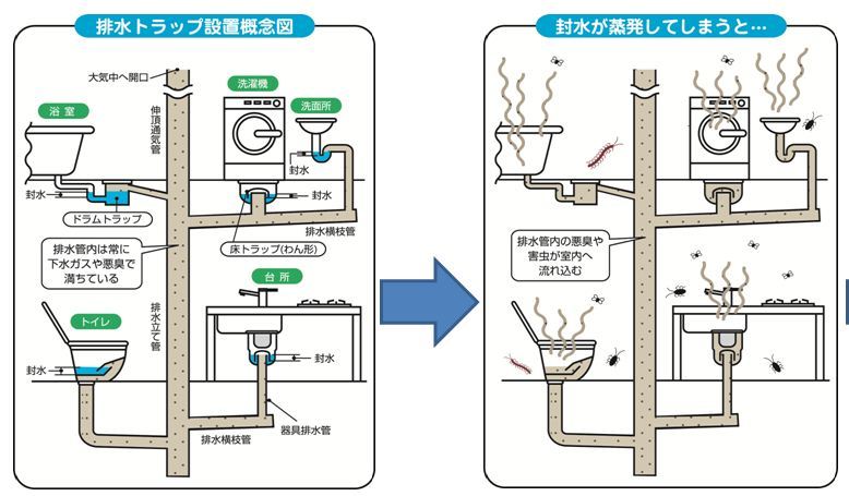 マイクロバブル水の2次利用_f0206977_21471097.jpg