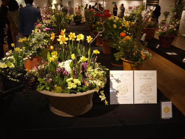 大阪阪急うめだ本店　『ケイ山田の世界展』春の花と寄植えの芸術_a0317581_235903.jpg