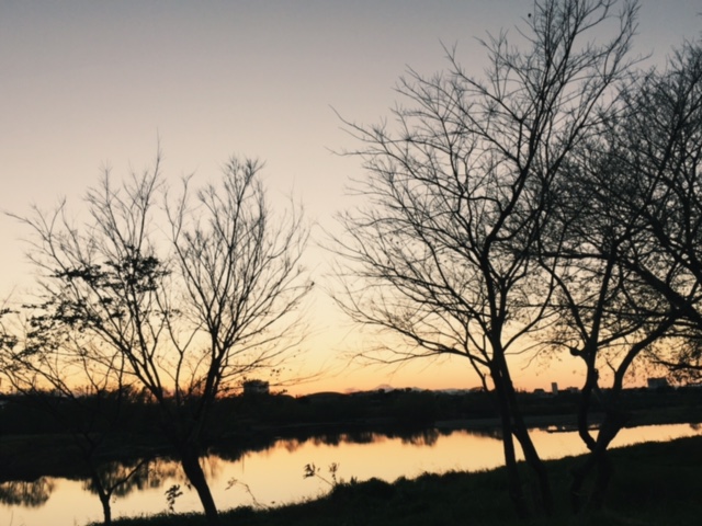 e0185090_1532043.jpg