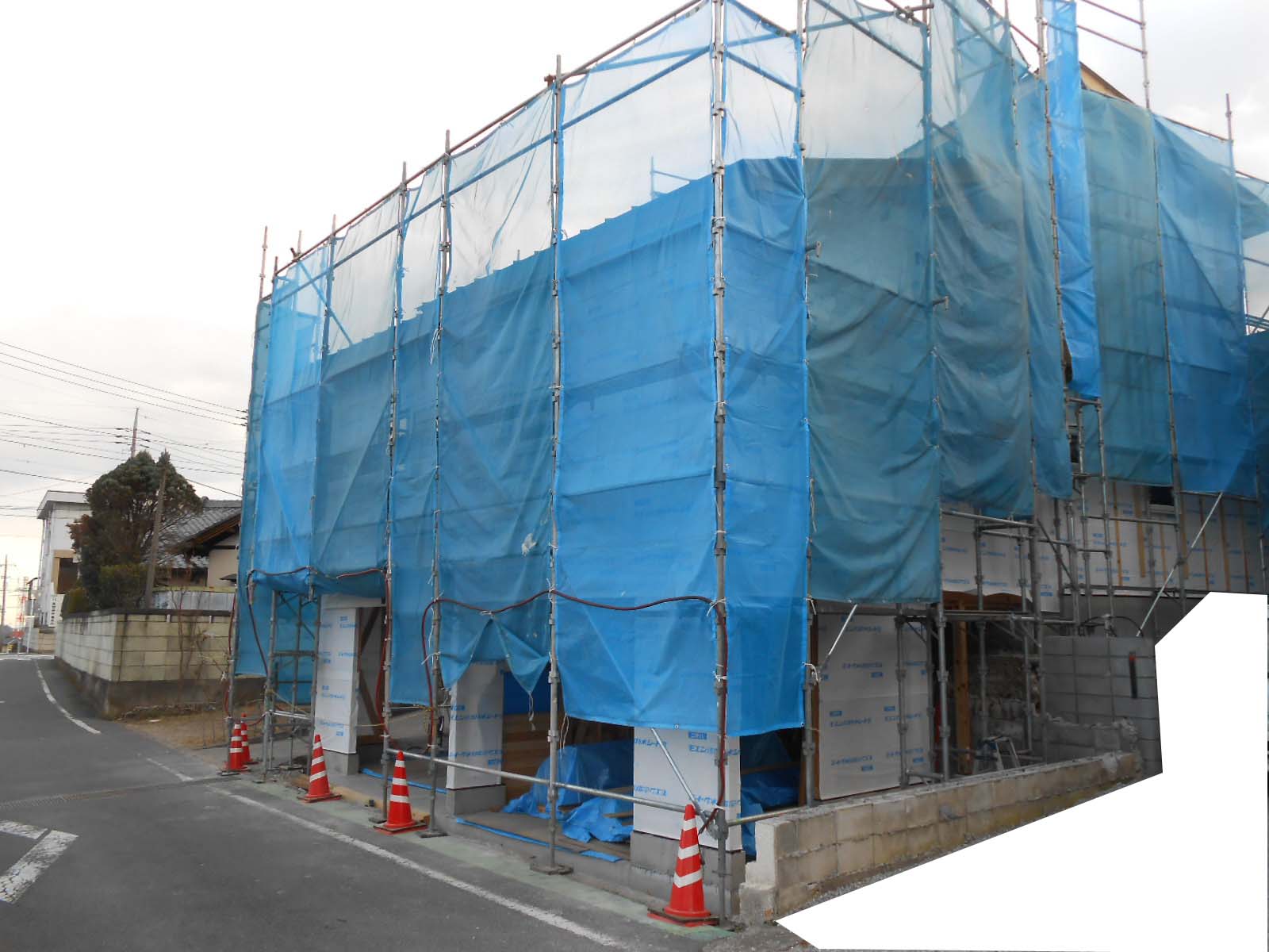 順調に進行中_c0066693_174618100.jpg