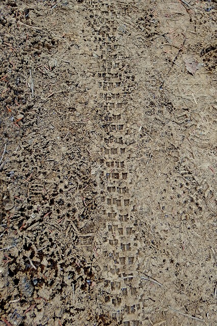 e0137200_21311666.jpg