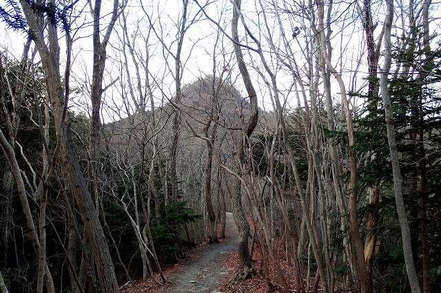e0137200_21343237.jpg