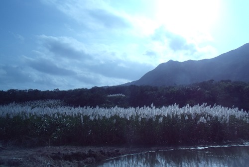 c0017802_16261692.jpg