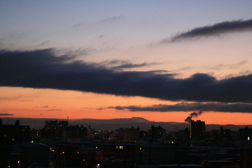 d0119909_20393854.jpg